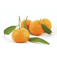 Mandarin (Kg)