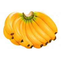Bananas (Kg)