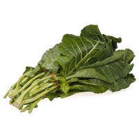 Collard (Bundle)