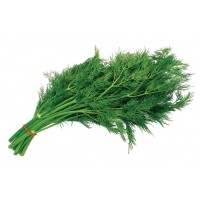 Dill (Bundle)