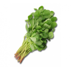 Purslane (Bundle)