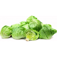 Round Lettuce (Kg)