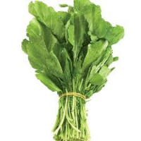 Rocca (Bundle)