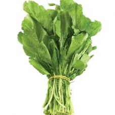 Rocca (Bundle)