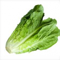 Romanian Lettuce (Kg)