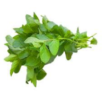Mint (Bundle)