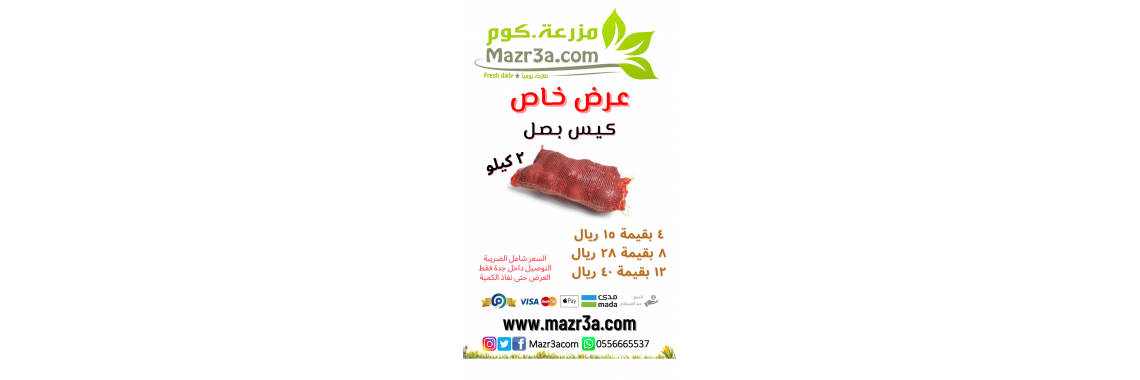 Onion bag 2.5kg