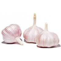 Garlic (Kg)
