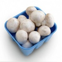 White mushrooms (Box/250g)