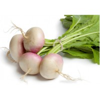 Turnip (kg)