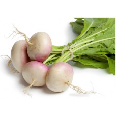 Turnip (kg)