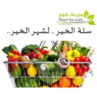 Al-khaer Basket 