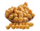 Dates