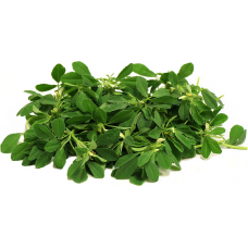 Green Fenugreek (Bundle)