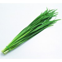 Leek (Bundle)