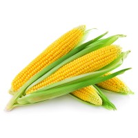 Corn (Kg)